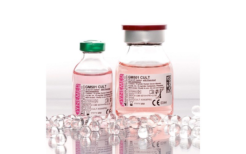 GM501 Cult with Gentamicin and Phenolred