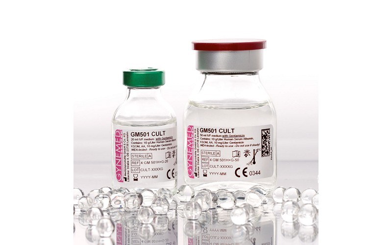 GM501 Cult with Gentamicin