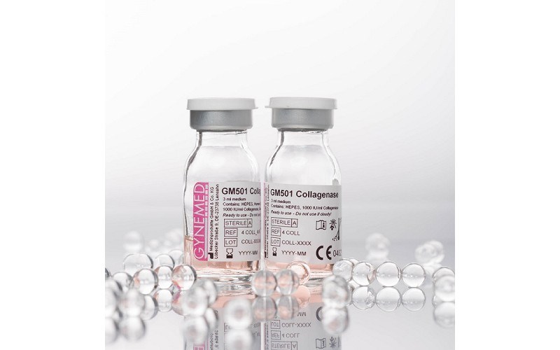 GM501 Collagenase