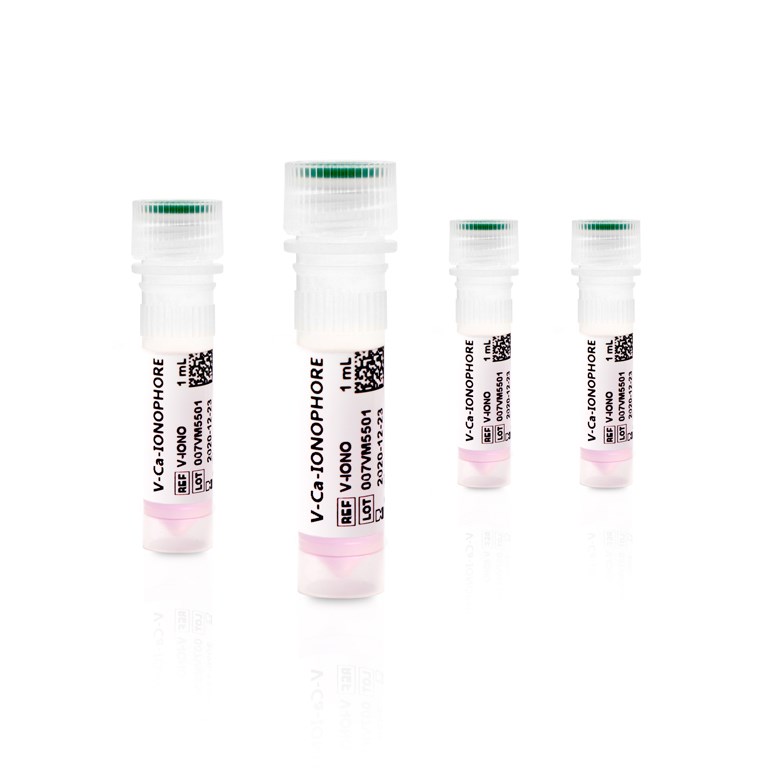V-Ca-IONOPHORE
