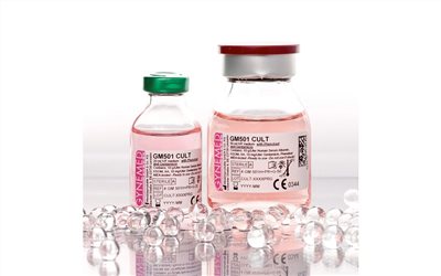 GM501 Cult with Gentamicin and Phenolred