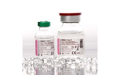GM501 Cult with Gentamicin