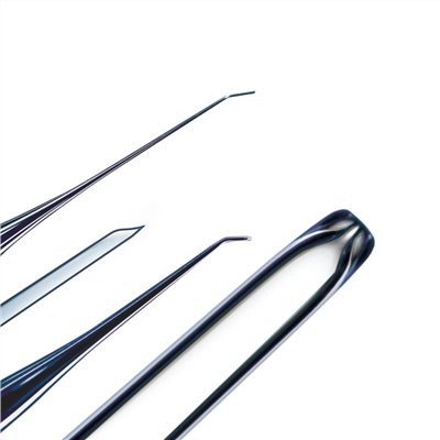 V-ICSIPET HOLDING and INJECTION